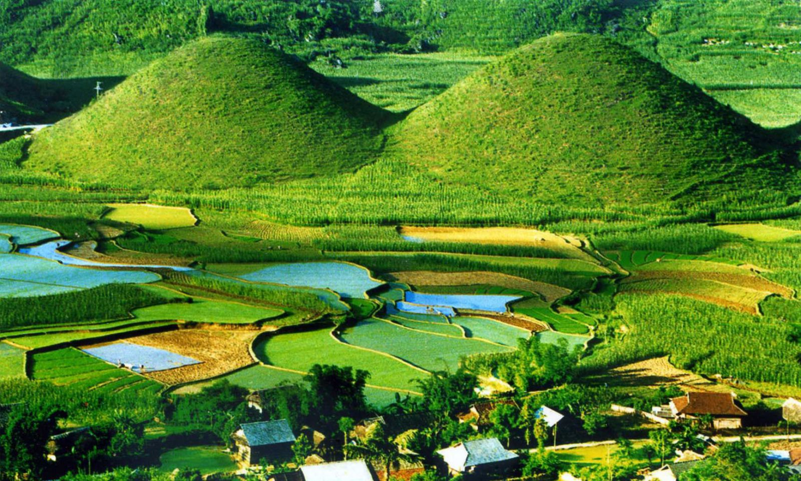 Five destinations worth to visit on Tet